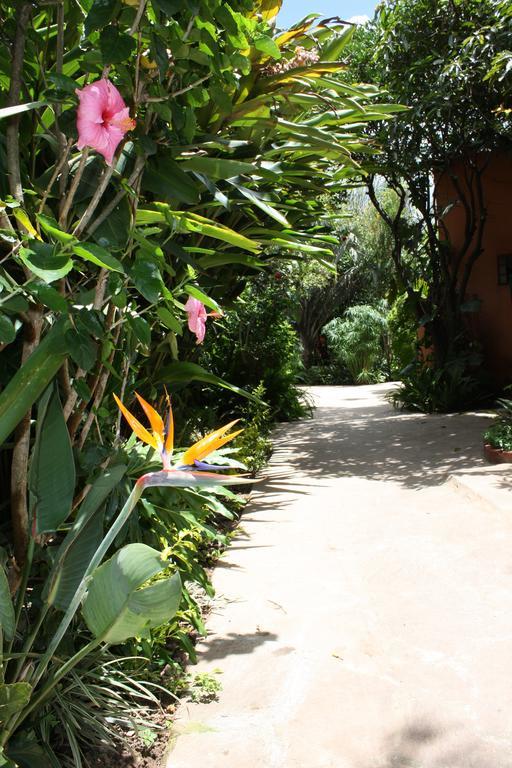 Palmwood Lodge Lusaka Bagian luar foto